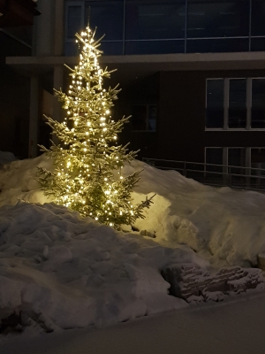 Weihnachtsbaum