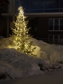 Weihnachtsbaum